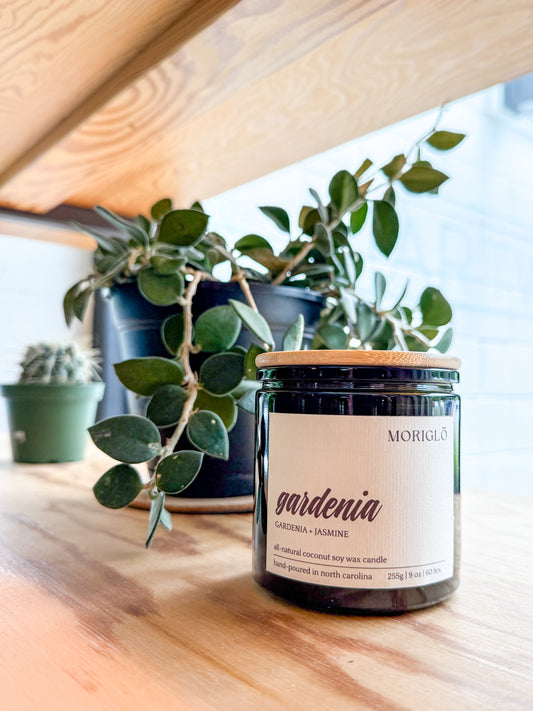 Gardenia | Gardenia + Jasmine